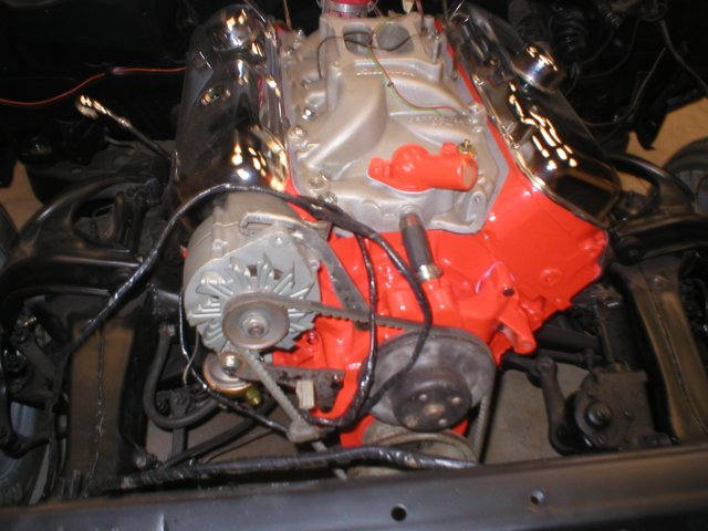 chevelless3960032.jpg